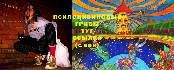 прущая мука Арсеньев