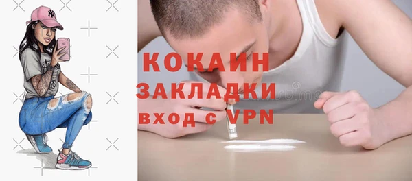 прущие грибы Балахна