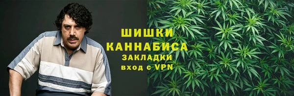 прущие грибы Балахна