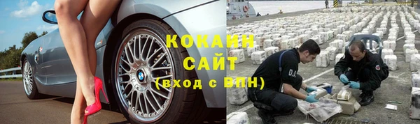 прущая мука Арсеньев