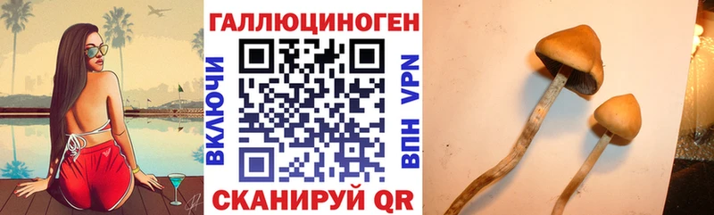 Галлюциногенные грибы Cubensis  Карабулак 