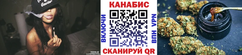 Конопля сатива  Карабулак 